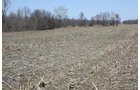 Property photo 2 - 200+/- Acre Land Auction in Gibson County, Indiana